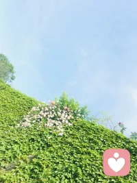 书上说，喜欢拍天空的人，是心里装满了不羁的自由，和对浪漫的渴望。