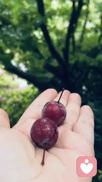 今天读到一句话
我们只能将我们有的东西拿去帮助别人
不能将我们没有的东西去帮助别人
而接受帮助的人也只能拿走他(她)想要的东西
不能拿走他(她)不想要的东西  也不能多拿
这才是一种平衡的关系