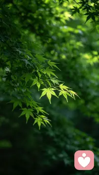 尽我所能  敬我不能配图