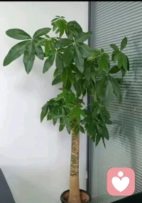 盯着别人，只会消耗自己，
盯着目标，才会走的更远，
真正的较量，从来不是和别人比，
而是和那个想放弃的自己比，
战胜对手只是一时的结果，
超越自己才能走得更远。配图