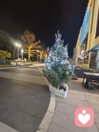 别花那么多时间难过，要多花时间快乐，困难又怎么样？每个人都会遇到困难，不要让任何事情威胁你，你要很有底气的活着，你活的是你自己的人生。配图