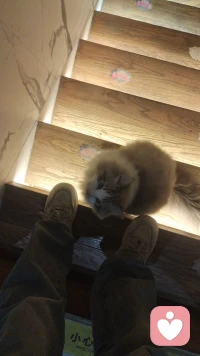 有幸能遇见你，是你让孤独的我有了陪伴。从第一眼看见你的时候你就萌化了我，真的幸运你遇见你我的萌宝。