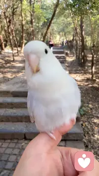 我的爬山搭子～
