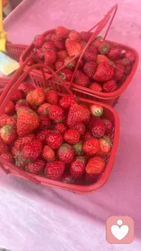 别把青春困在爱里，要永远潇洒自由