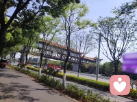 新身份上线 倾听师。
做你的情绪树洞，保密、安心、无评判。
有话，随时说。配图