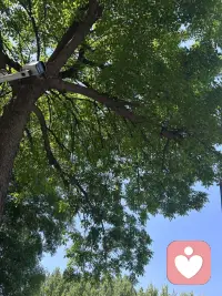 多看看绿色心情会变得更好哦配图