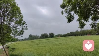 生活像一条河，有平缓也有湍急。如果感到累了，就停下来，像树叶飘在水面上，让思绪慢慢沉淀。
试着深呼吸，感受空气里的温暖；或者写一张小纸条，把烦恼折成纸船，让它随波漂走。
记住，你不需要时刻坚强，偶尔的脆弱也是成长的养分。明天的太阳，会为你升起新的希望。配图