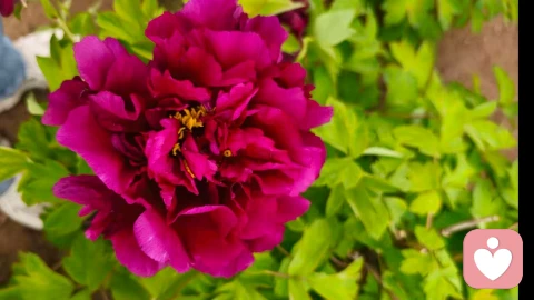 允许自己偶尔停下来，也是一种勇敢