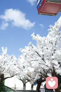 那些曾经让你夜不能寐的，原来如此微不足道；那些你拼命想要抓住的，反而成了束缚你的枷锁。配图