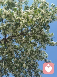 有意义的痛苦远比无意义的快乐更有价值！