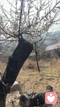 分享一个顶级的心态，心里拧巴的时候就跟自己说我不要了，在这一瞬间你会发现突然解脱了，你越想要什么就越被什么困住，你想拼命赚钱攒钱，就会被钱困住，欲望越大，人越不自由