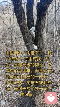 你可以难过，可以脆弱，可以迷茫，
但请一定记得：
你值得被好好对待，首先是被你自己。

允许一切发生，也允许自己慢慢变好。
黑夜再长，天总会亮。
❤️