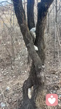 你的注意力在哪里，能量就在哪里。当你把注意力放在讨厌的人身上，就等于在给他免费占用你的的大脑的权力。
不如把精力收回来，专注自己的成长和快乐。
刘振云在一句顶万句里写过：人要是赌上气，就忘记了事情的初衷，只想着能气着别人，忘记也耽误了自己。