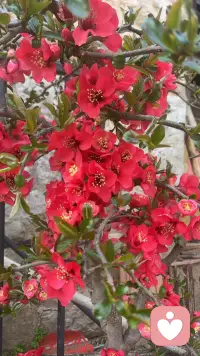 真正决定你过得幸不幸福的，从来不是你遇到了谁，而是你是否具备这3种能力。
第一种能力是让自己开心的能力。
很多人这一辈子最欠缺的就是取悦自己的能力。他们习惯了迎合别人，习惯了把情绪寄托在外界的反馈上。别人一句认可就开心一整天，别人一个冷脸就怀疑自己是不是哪里做错了。他们把快乐的开关交到了别人手里。
但你要知道啊，这个世界上最不稳定的就是他人的情绪和态度。