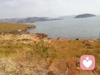 日子慢慢走，把温柔留给值得的人和事。
三餐烟火暖，四季皆安然，愿你眼里有光，心中有爱，身边有温柔相伴。配图