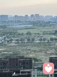 看人看物看世界