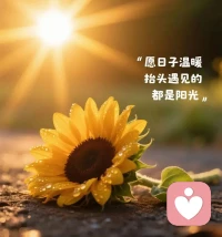 1、所有的创伤都应该得到认可和疗愈。你的痛苦值得被看见。
2、你才是自己的拯救者，你才是一切的答案
3、并不一定要消除痛苦，因为痛苦也是你的一部分，重要的是学会如何与痛苦共生。
4、别人都让你原谅，但别人都不是你，不能体会你的痛苦，才会这样说。原不原谅在你，没有人有权利要求你原谅，如果你有一天放下了，那是你的成长。
5、你对别人总是很温和，总在考虑他们的感受，是因为你想要自己能被这样对待啊!