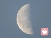 花未全开月未圆，世间小满胜万全