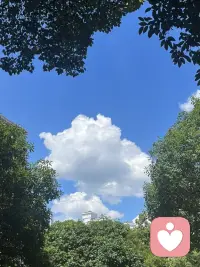 人生迷茫时不必急于行动。第一步先好好养护身体，慢慢积攒积蓄，从容度日；遇上热爱的事再用心去做，碰到契合有缘的人再好好相处。
第二步，不随意结交繁杂人与琐事，不胡乱挥霍钱财，能守住这两点，这一生便不会过得太差。
