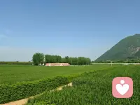 原谅生活的不完美
接纳他人的不周全
心放宽了，烦恼就少了
心情顺了，生活就好了配图