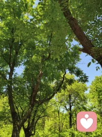 最深层次的理解，
不是理解你的优点，
而是理解你的伤痕。