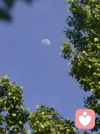 每个人都会有一段异常艰难的时光，
生活的压力，工作的失意，感情不顺，
挺过来人生就会豁然开朗。
如有不顺心的事儿，可以找我聊聊，我愿意认真听你诉说，接纳你所有的情绪