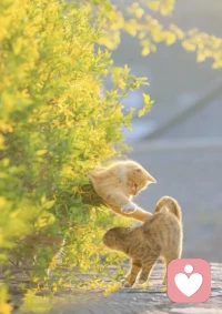 宫崎骏说
“岁月永远年轻，我们慢慢老去，你会发现，童心未泯
是一件值得骄傲的事情。
六月最好的天气，是孩子气。
六一儿童节的意义是
即使你渐渐成为了大人
也依然可以在我面前做小朋友