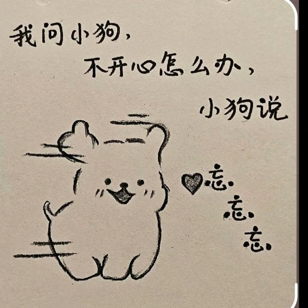 温柔的梧桐树