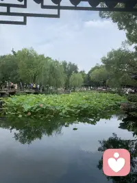 愿意做一个倾听者，在你孤独无助的时刻，为你撑一把无声的雨伞☔️配图