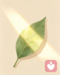真正消耗你的，从来不是事情本身，
而是你反复回想、过度揣测、自我拉扯。
 
学会及时抽离情绪，不纠结他人看法，
把注意力收回自己身上，
情绪稳定，才是顶级的自律🌿
 
#心理学 #情绪管理 #拒绝精神内耗配图