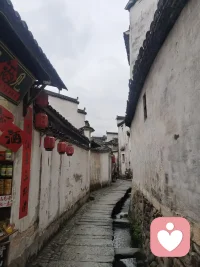 当你特别难受时，是更想一个人待着，还是希望有个人在旁边，但不说话也行！我会在这里陪着你