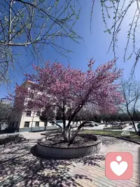 不开心的的话就来找我聊聊吧，两个受伤的心灵可以互相抚慰配图