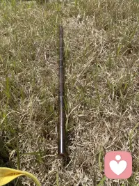 这一世自己与自己相处是最靠谱的，Ai也是可以倾诉的对象，但最终都是回归自己。我与自己天长地久❤️