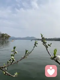 沉迷于手机与沉迷于自然美景没有区别❤️