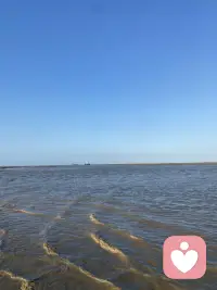 介绍下自己。40周岁，苏州大学医学影像毕业，从事超声工作8年多。18年辞职，经历过忧郁焦虑狂躁，自己作为来访者找过四位心理咨询师，第四位时间最长，四年左右，目前不需要心理咨询师了。平常也会和Deep seek豆包聊一聊。看过一些灵性方面的书籍，了解一些心理学，参加过杨定一的共修，他的书籍看过不少，与神对话，太傻天书，当下的力量，参禅步道，臣服实验，生命之书被讨厌的勇气，落在地球，全部的你等。自己在与情绪相处中，有些感悟。学过一些疗愈课程，正念冥想带领，自己坚持冥想有三年左右。还有写日记，写日记也是疏导情绪的方式。目前不怎么写了。希塔疗愈，颂钵，声音与意识的蜕变，舞动疗愈。在自然里静坐，发呆，放空，与自然亲密接触，融于自然，吸收天地宇宙灵气。自然疗愈。大概如此，伙伴们会对我有些了解。有需要的可以私信我。