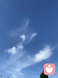 所有的人如果说，和自然学习，大树不会去鄙视小草花朵不会争奇斗艳，而是只是大家如其所是的存在着，那就没有竞争这一说，大家就是共存，就是世界大同的，世界大同是肯定会发生的，只是只是时间而已。但时间也是幻象，其实这个世界大同早就在了，只是我们现在感受的还不是。在某种意义上说，世界大同和二元对立也没有区别。嗯，是这样的，反正就是在这个当下即可❤️