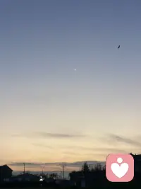 善恶皆幻相
苦乐皆体验
人间如游戏
宇宙如星辰
我们是来自外宇宙的生命，我们在地球但不属于地球。我们也不属于宇宙。我们只是在，只是体验❤️配图