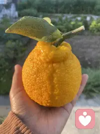 人真是有意思，痰在嘴里的时候不觉得脏，屎尿在身体里也不觉得脏，但是等她们排出体外了反而觉得脏了，还有袜子为什么一定要穿同样的颜色，这两天我就穿不一样的颜色，有意思，人的习性果然是意识造成的，意识时刻更新中❤️配图