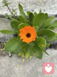 人真是有意思，痰在嘴里的时候不觉得脏，屎尿在身体里也不觉得脏，但是等她们排出体外了反而觉得脏了，还有袜子为什么一定要穿同样的颜色，这两天我就穿不一样的颜色，有意思，人的习性果然是意识造成的，意识时刻更新中❤️配图