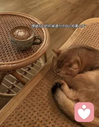 满怀期待和热爱永远是对生活最好的交代配图