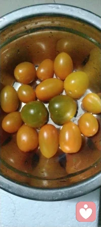 夏天来了，补充水份水果番茄维生素多可以美容养颜！