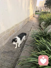 经历塑造观点，观点决定感受，本人将西方心理学与中国传统文化结合起来，形成具有中国特色的心理咨询理论，同时，也把弗洛伊德和福尔摩斯结合在一起，让咨询变得和探案一样有趣，欢迎来询