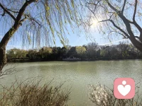 他人的评价，不是祖训，可以做参考，别无他用。他人的否定，并不会决定你的成功与否，决定你成功的因素只有一个，就是客观规律。古往今来，只要掌握了客观规律，都会成功。就像那句俗语，只要找到并站在风口，风来了，猪都能飞起来。