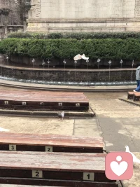 你必须至少拥有一个永远不会否定你的人，能够倾听你的人。这个人不一定是爱人、家人或朋友，甚至可以是素未谋面的匿名网友，只要有一个就够了。有这样的港湾，无论遇到多大的痛苦，人都能重整旗鼓，出乎意料地坚持走下去。配图