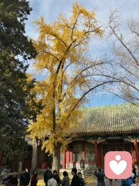 得罪几个人，做错几件事， 
其实没那么可怕，
一辈子活得委曲求全，
战战兢兢才更可怕。配图