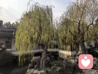 成熟的标志不是会说大道理，而是你开始去理解身边的小事情。配图