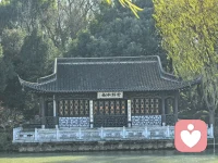 站在痛苦之外规劝受苦的人，是件很容易的事。配图