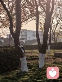 尊重是争取来的，不是谈来的配图