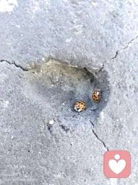 陪伴是最好的守护，配图