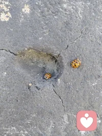 可以选择陪伴，也可以选择离开，选择很重要配图